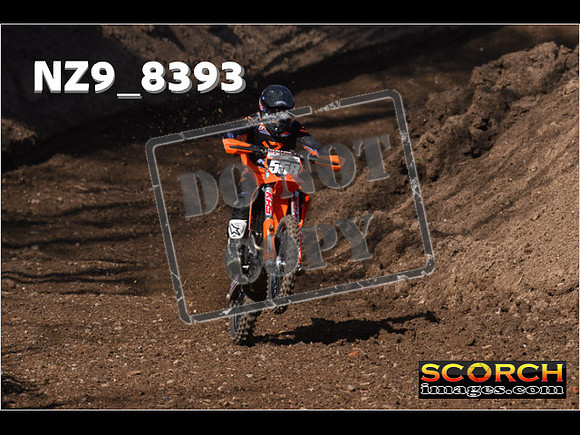 Experts-119