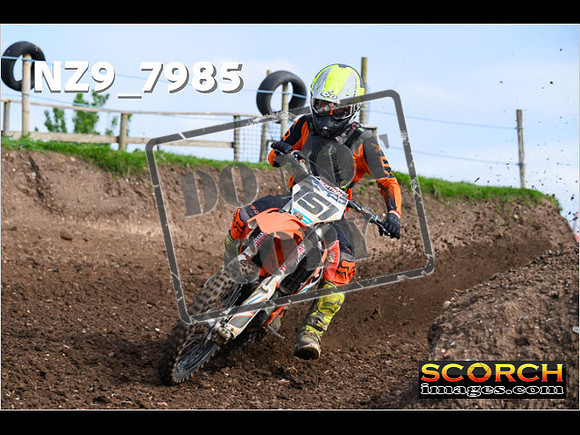 Experts-029