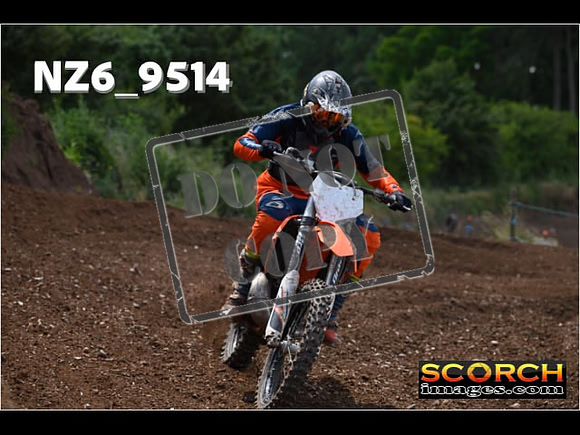 Experts-277