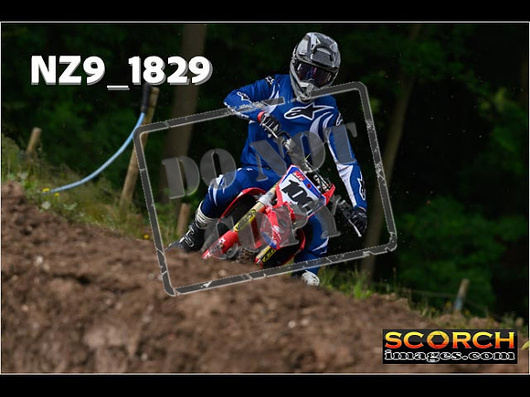 Experts-050