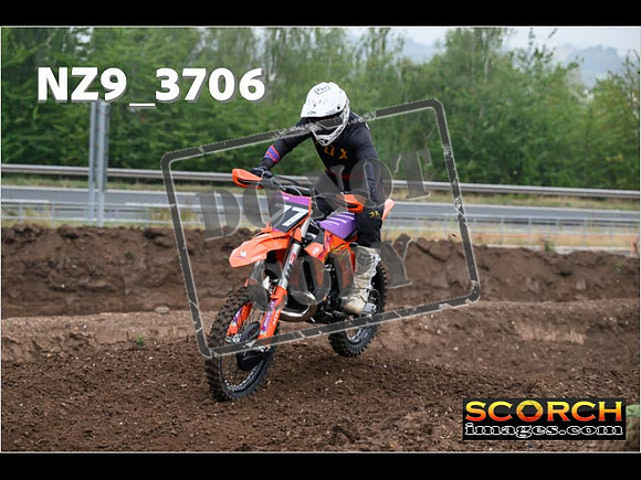 IntersGreenOrange-071