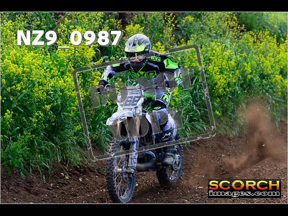 IntersGreen-052