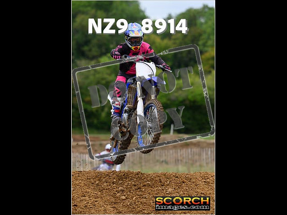 Experts-132