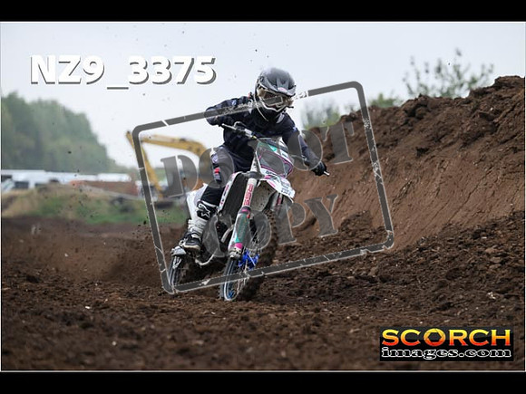 Experts-038