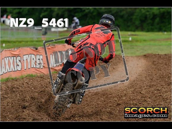 Experts-392