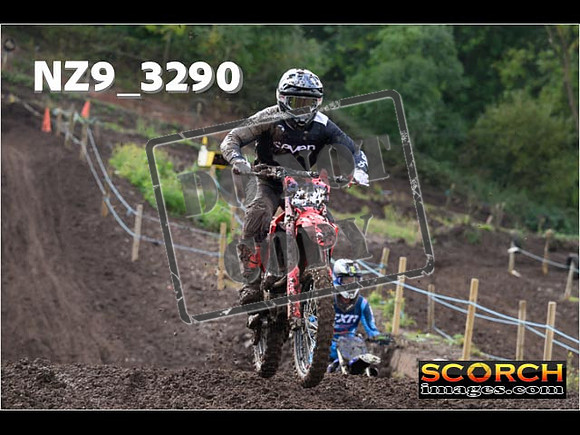 Inters-229