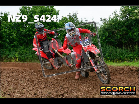 Experts-355
