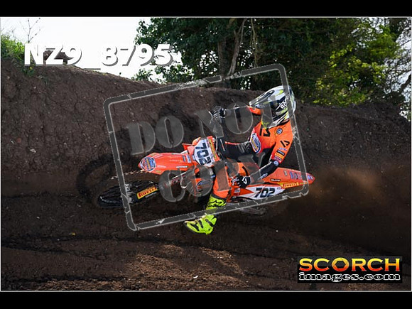 Experts-040