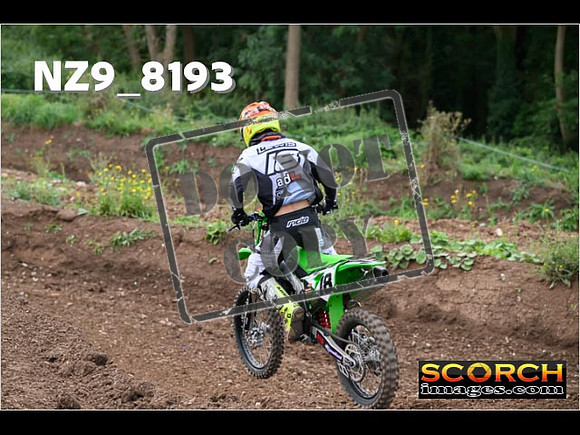 Experts-130