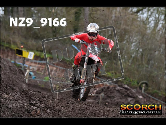 Experts-083