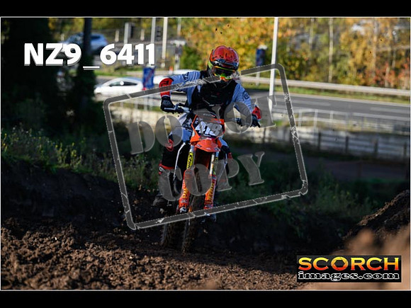 Experts-026