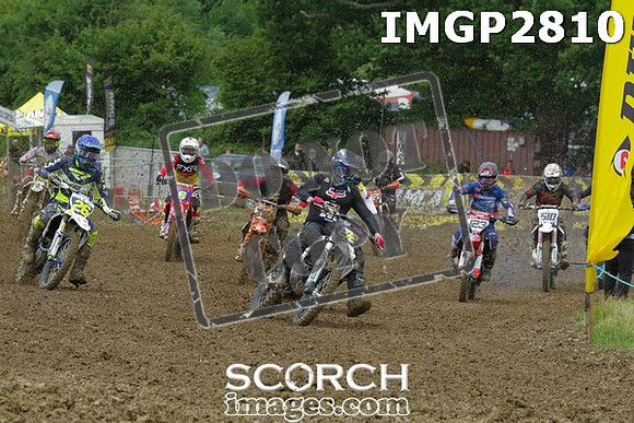 IMGP2810
