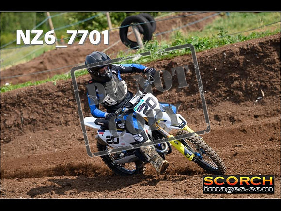 Experts-081