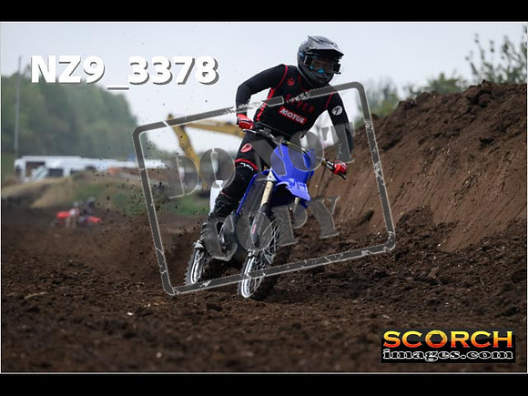 Experts-041