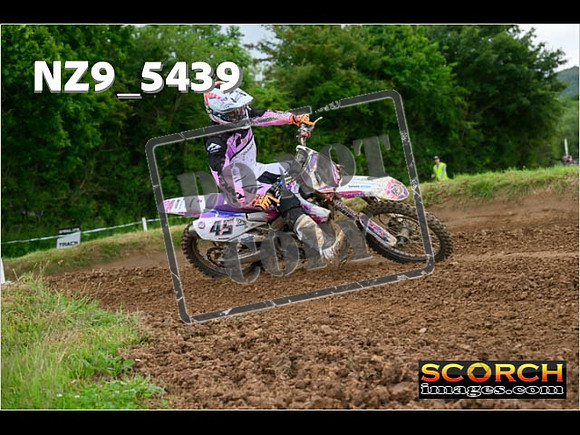Experts-370