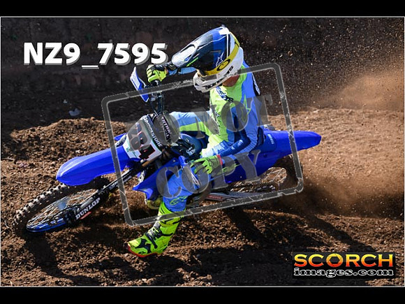Experts-029