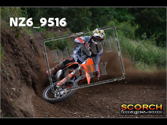 Experts-279