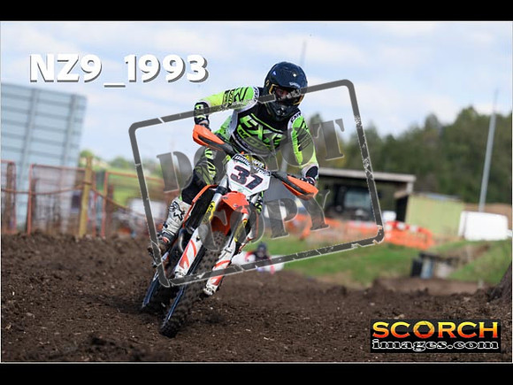 Experts-336