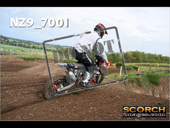 Experts-074