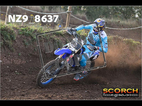Experts-045