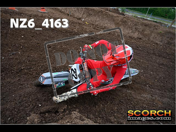 Green Group-115