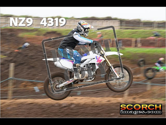 Experts-166