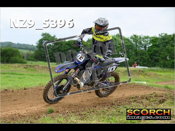 Experts-331