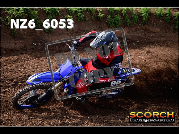 Experts-096