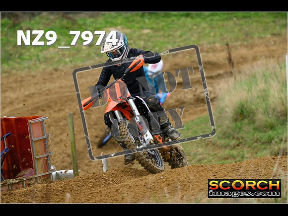 Experts-106