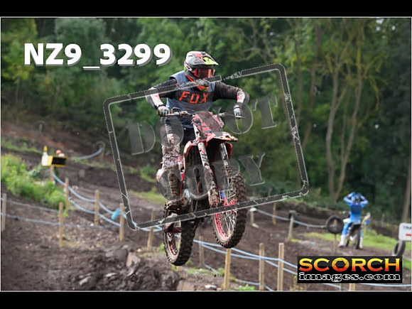 Inters-238