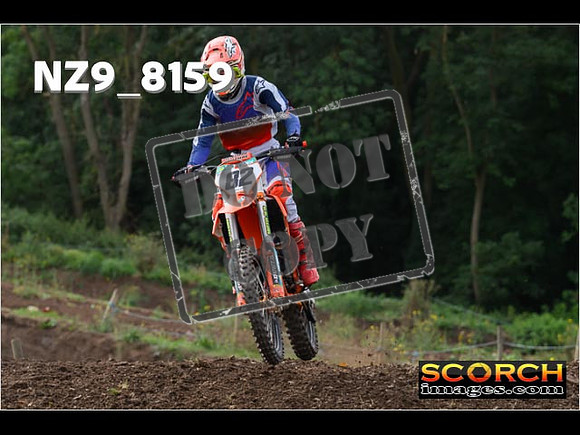 Experts-098