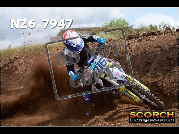 Experts-113