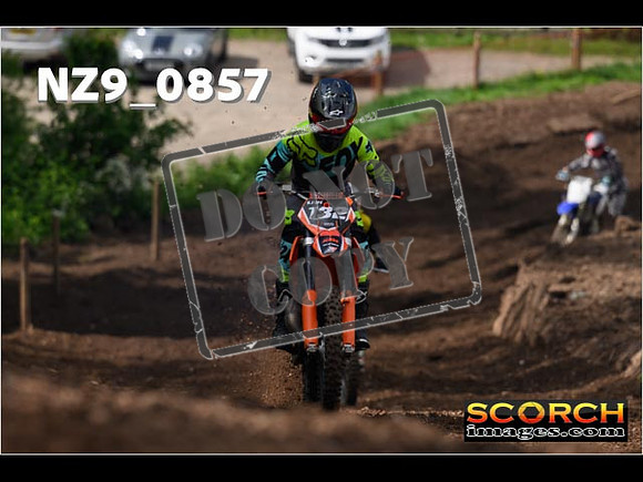IntersGreen-387
