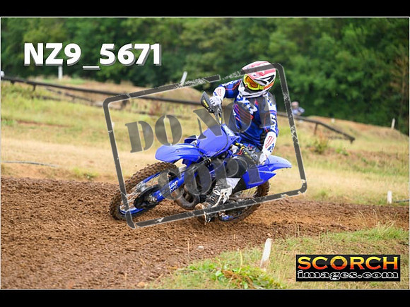 Experts-074