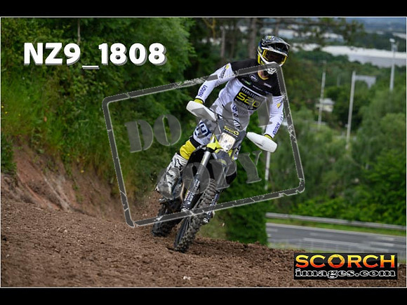 Experts-032