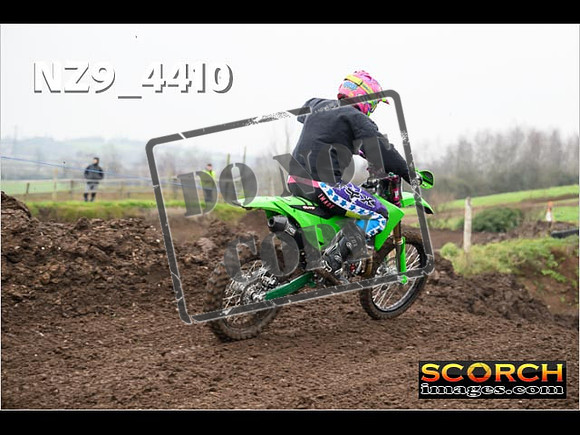 Experts-254