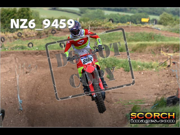 Experts-224