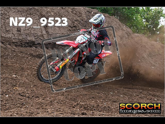 Experts-045