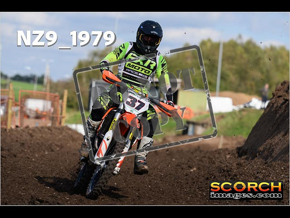 Experts-322