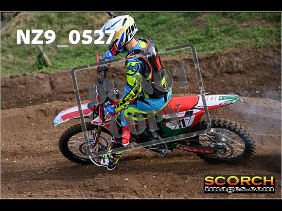 Intermediates-029