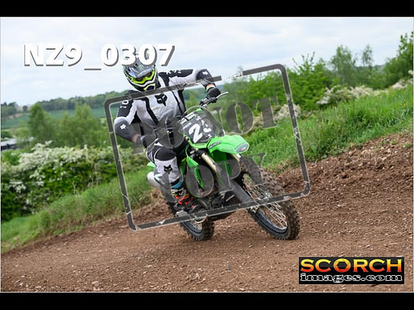 IntersGreen-253