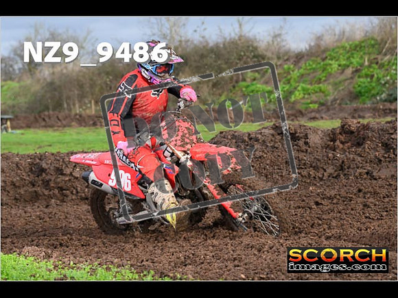 Experts-136