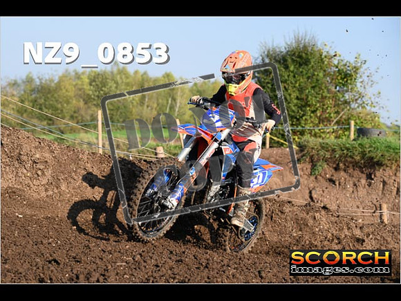 Experts-068