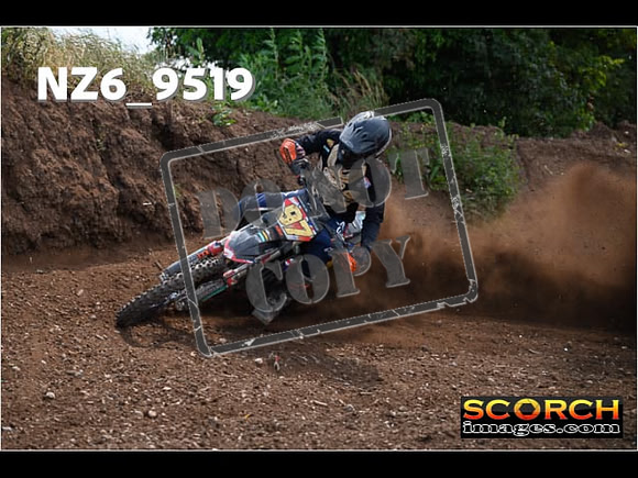 Experts-282