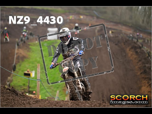 Experts-272