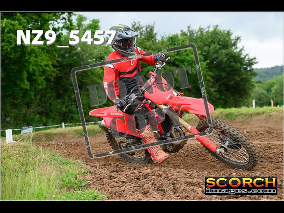 Experts-388