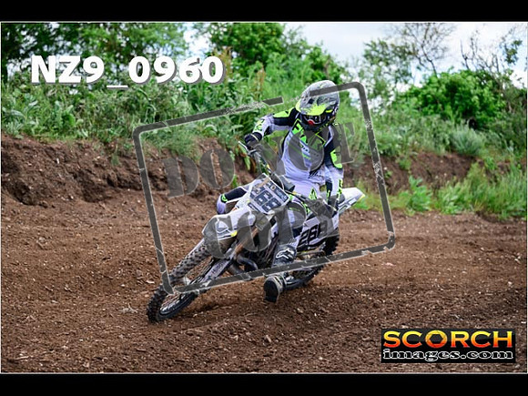 IntersGreen-025