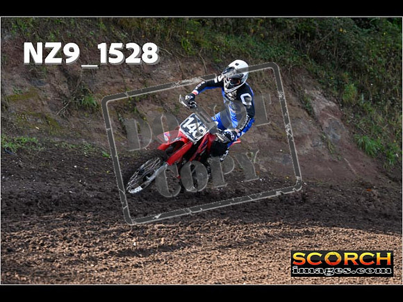 Experts-215