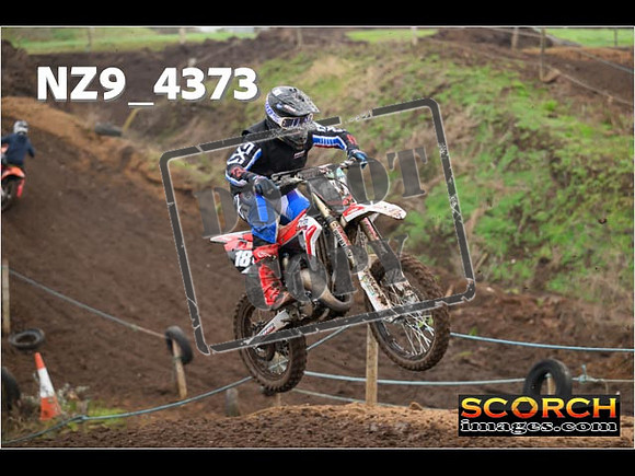 Experts-219