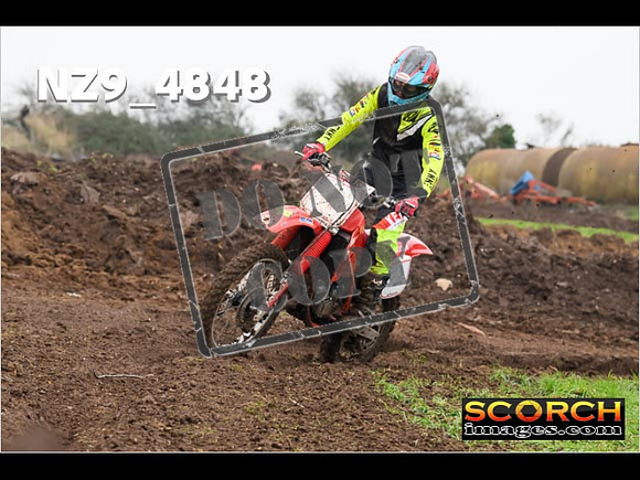 Experts-324